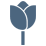 Kardiologiepotsdam